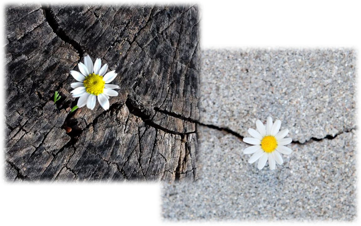 27&omicron; &Tau;&epsilon;&tau;&rho;&alpha;ή&mu;&epsilon;&rho;&omicron; Workshop Gestalt