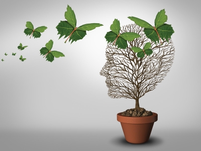 ΒΙΩΜΑΤΙΚΑ ΕΡΓΑΣΤΗΡΙΑ