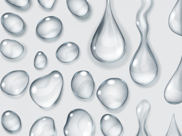 PROFESSIONAL SPECIALIZATION PROGRAM &Iota;N GESTALT PSYCHOTHERAPY FOR MENTAL HEALTH COUNSELORS