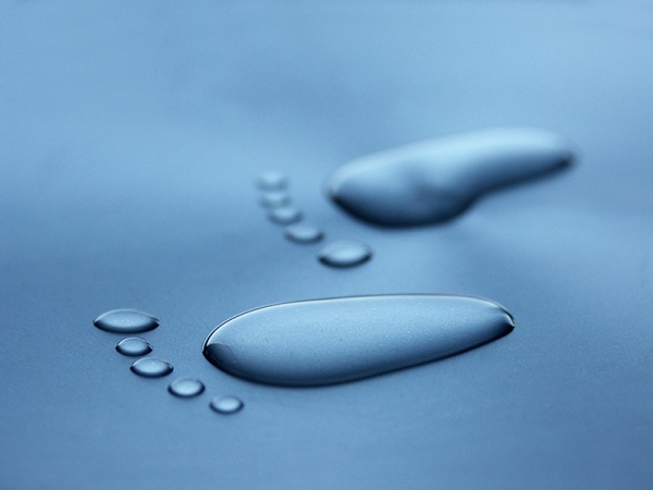 PROFESSIONAL SPECIALIZATION PROGRAM IN GESTALT PSYCHOTHERAPY FOR PSYCHOTHERAPISTS