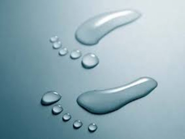 FLEXIBLE PROFESSIONAL SPECIALIZATION PROGRAM IN GESTALT THERAPY FOR PSYCHOTHERAPISTS