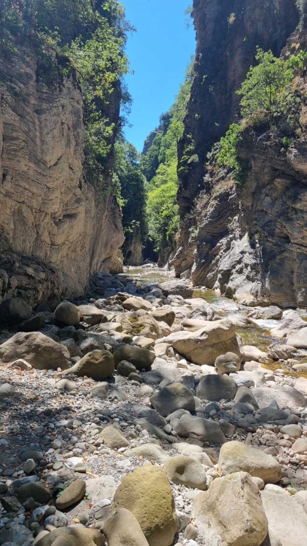 10th International Gestalt Summer Camp &ndash; June 2025